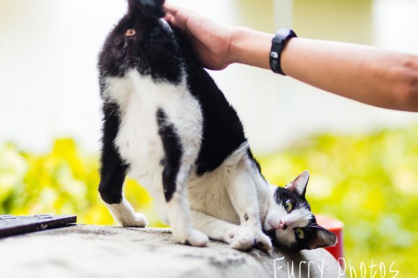 ohh yea Butt scatchies