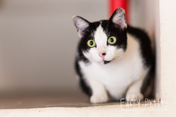 Back to her hall room...