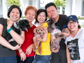 180310_Ailing-119_web