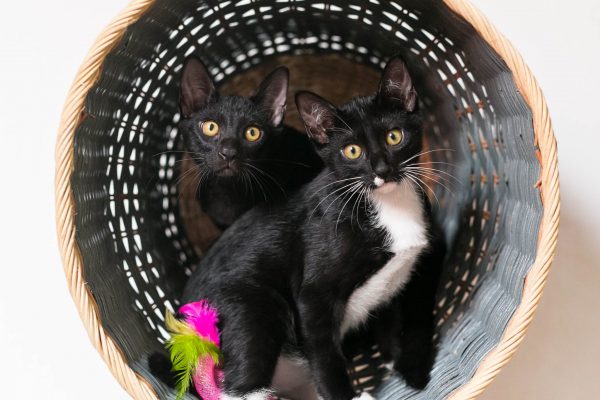 181125_Josie-024_web