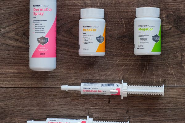 230708_Barkery-015_web