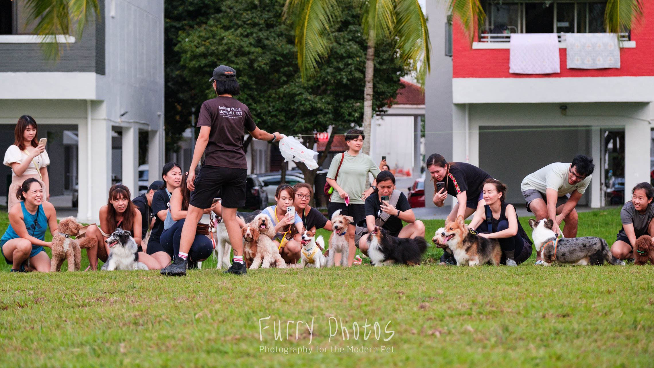 Lure Coursing 4 Nov 2023